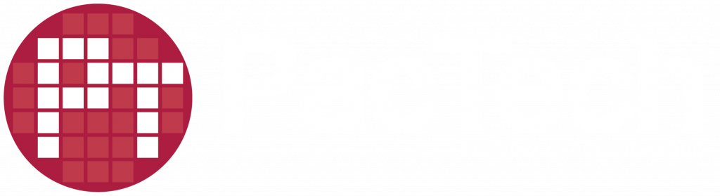 PT Logo_PT Weiß